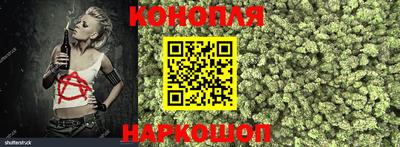 кокс Нальчик
