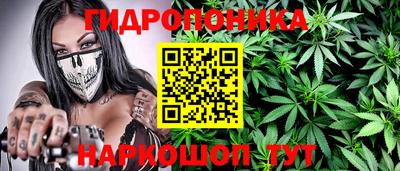 сатива Моздок
