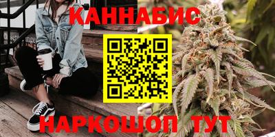 сатива Моздок